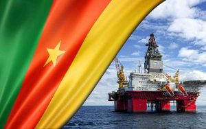Cameroon oil and gas licensing