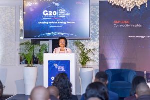 Nardos Bekele-Thomas, CEO of the African Union Development