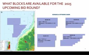 angola blocks webinar final image